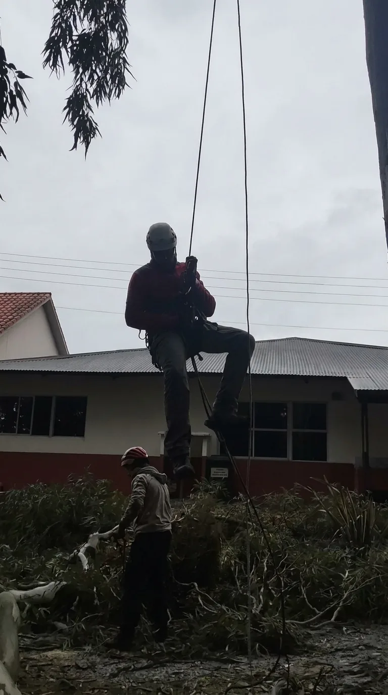 Equipo de trabajos en altura trabajando con cuerdas
